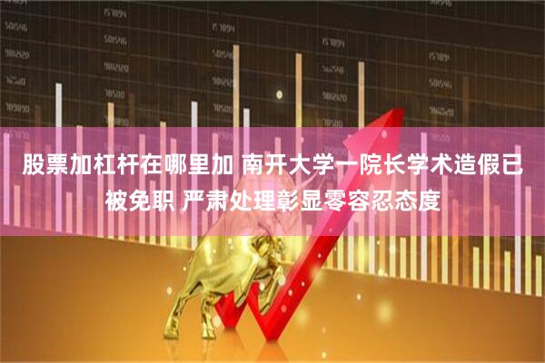 股票加杠杆在哪里加 南开大学一院长学术造假已被免职 严肃处理彰显零容忍态度